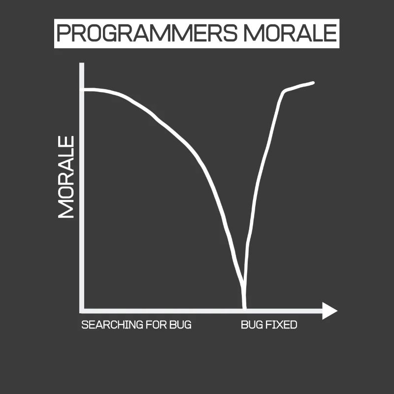 Lustiges Geschenk Programmierer Computer Diagramm