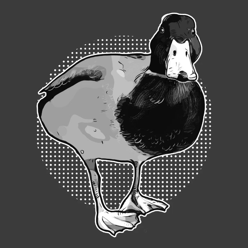 Canard canard