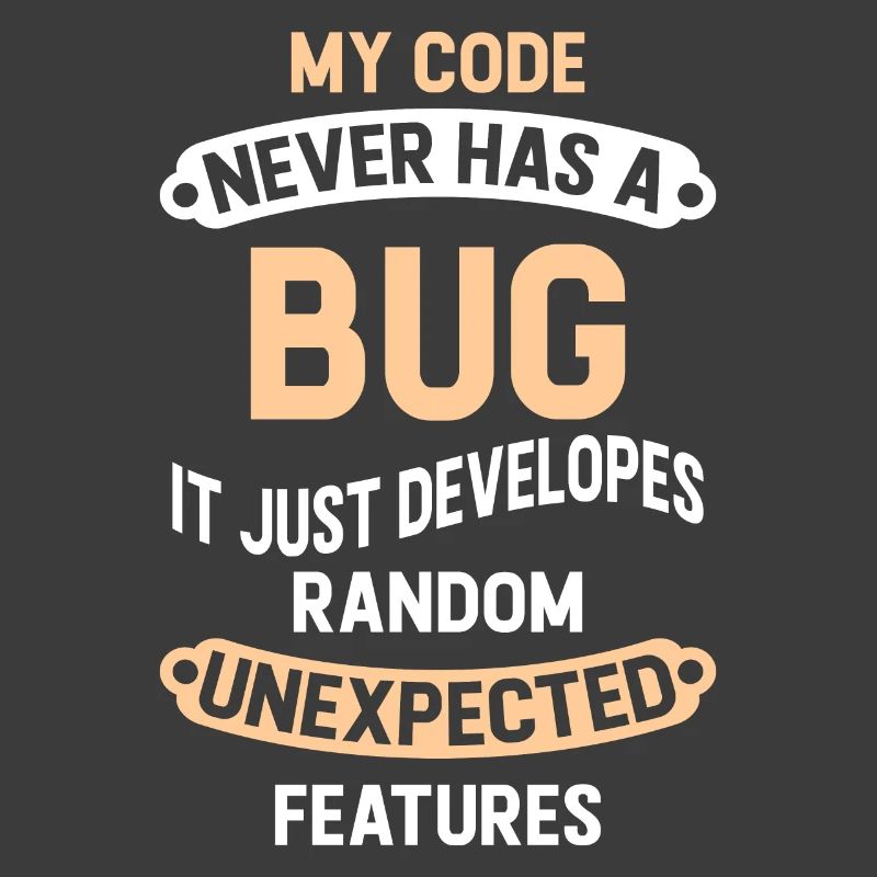 Programmeur - Mon code n'a jamais de bug
