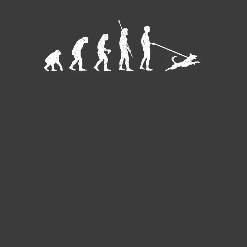 Evolution Hunde Gassi