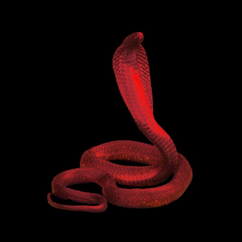 red snake children