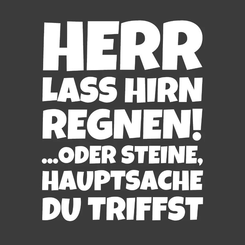Herr Lass Hirn Regnen! ...oder Steine Hauptsache