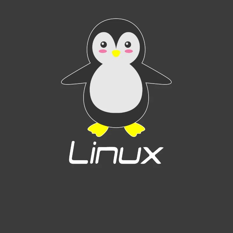 Geek Linux