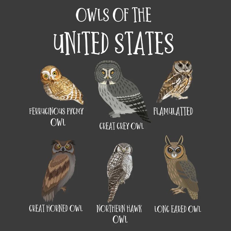 Eulenarten, Eulen & Kauze, Eule Fan