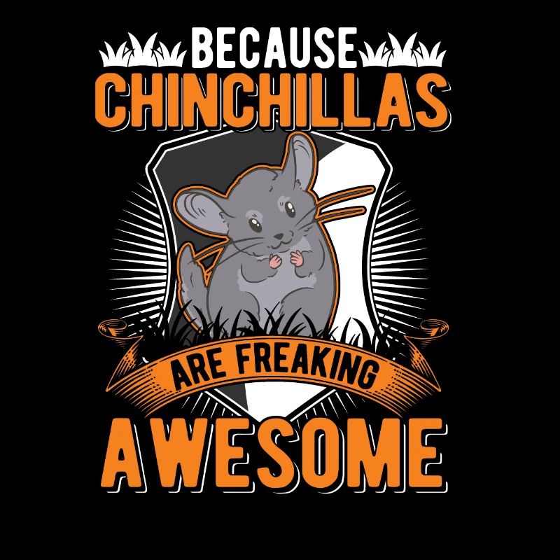 Parce que les chinchillas sont impressionnants