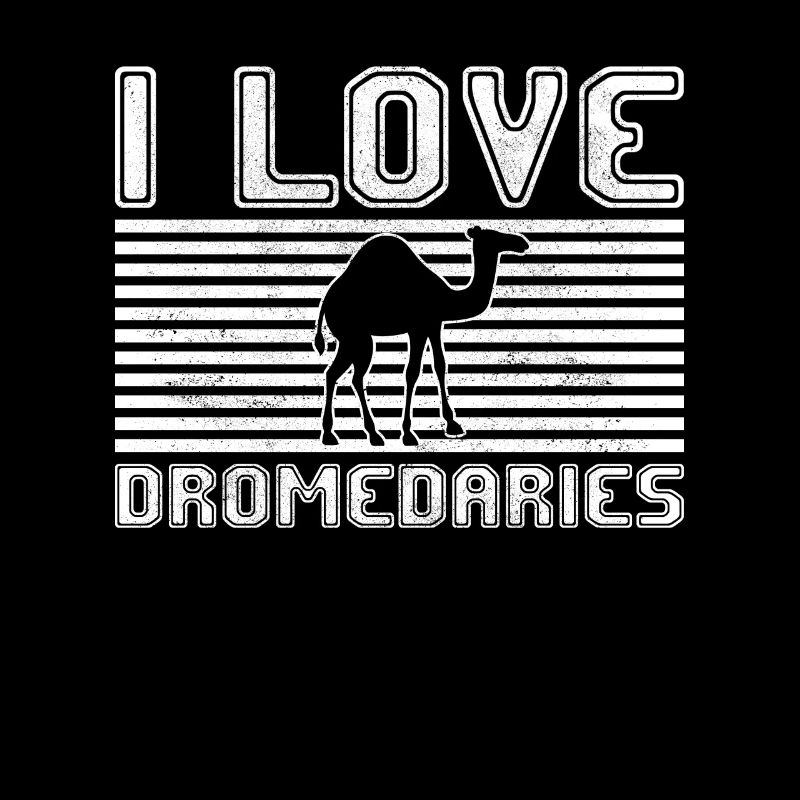 J’adore les dromadaires