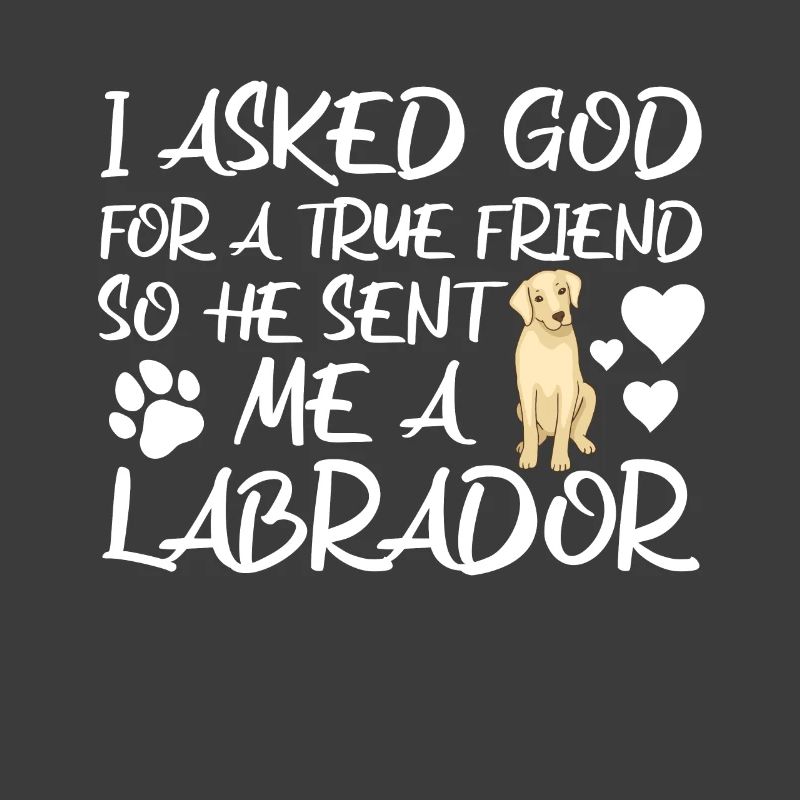 Labrador Hunde