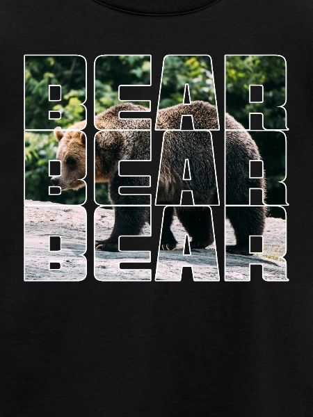Bär