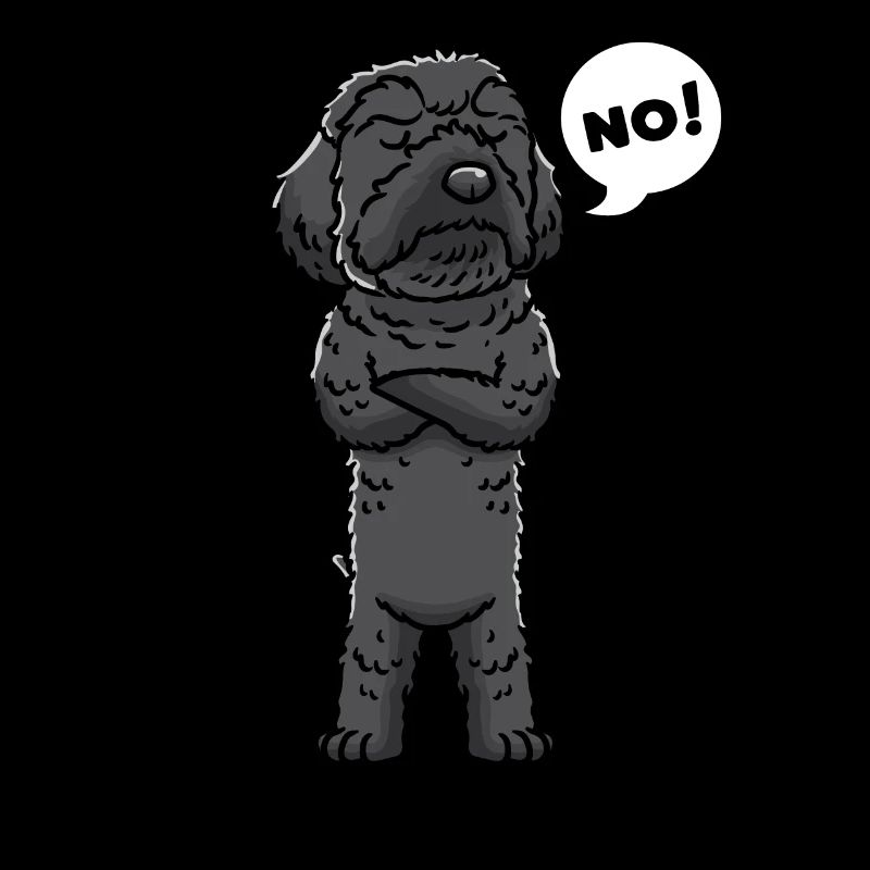 Schnoodle Hund