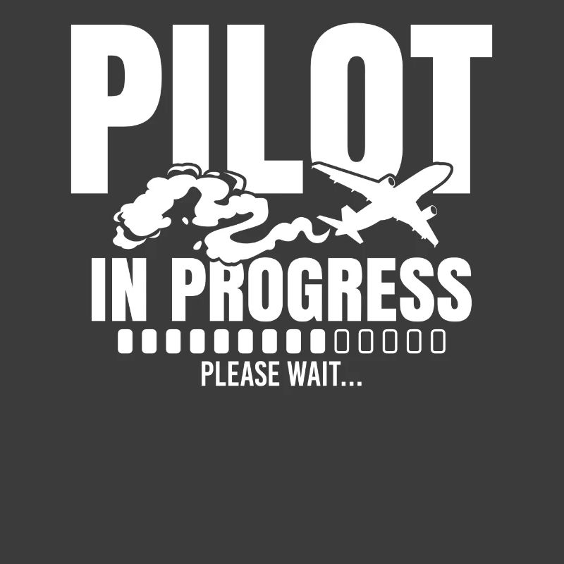 Pilot In Progress Please Wait Loading Plane
