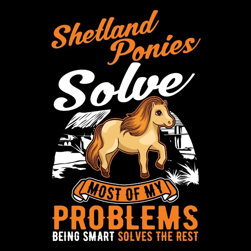 Shetland Pony Geschenk Shetty