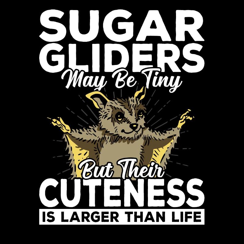 Sugar Gliders Cute Sugar Glider Owner