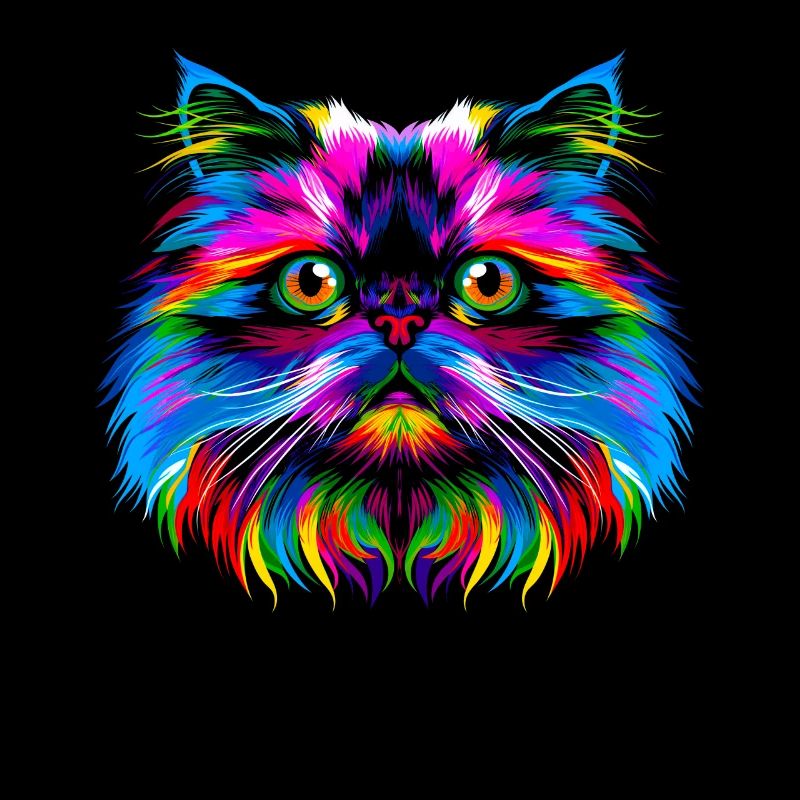 Chat de l’Himalaya Popart