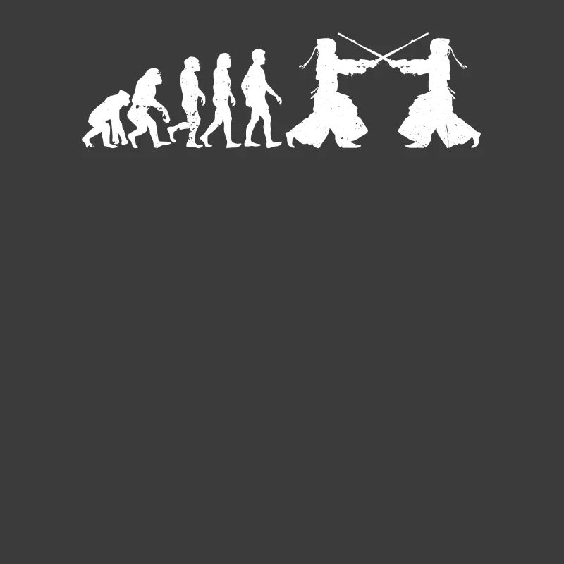 Kendo Fighter Kendo Evolution