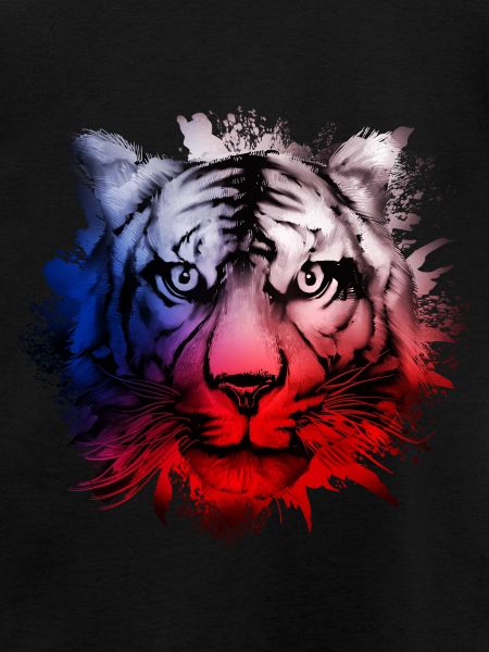 République tchèque