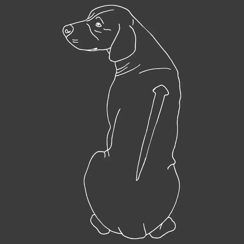 Rhodesian Ridgeback