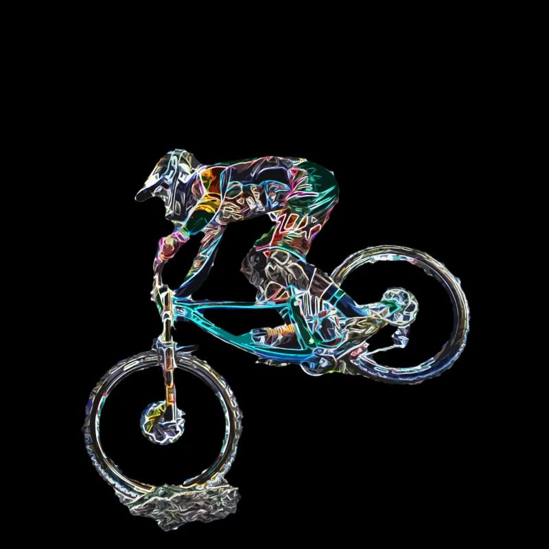 vtt mtb downhill