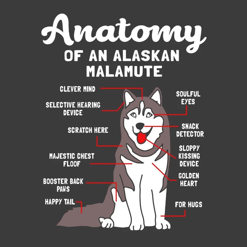 Malamute