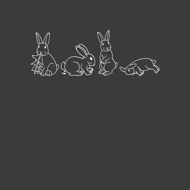 Typical rabbit poses Funny rabbit design