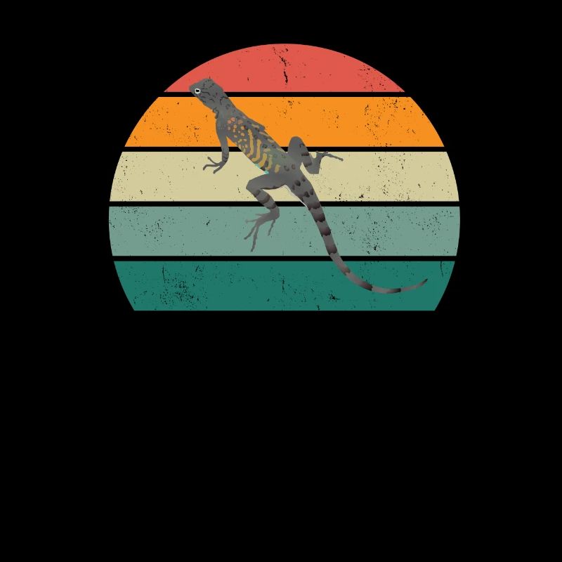 Lizard Lizards Cold-blooded scales Reptiles
