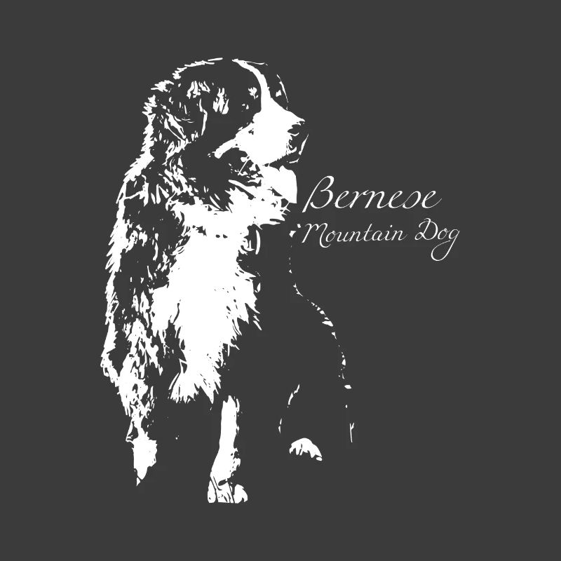 Bouvier Bernois