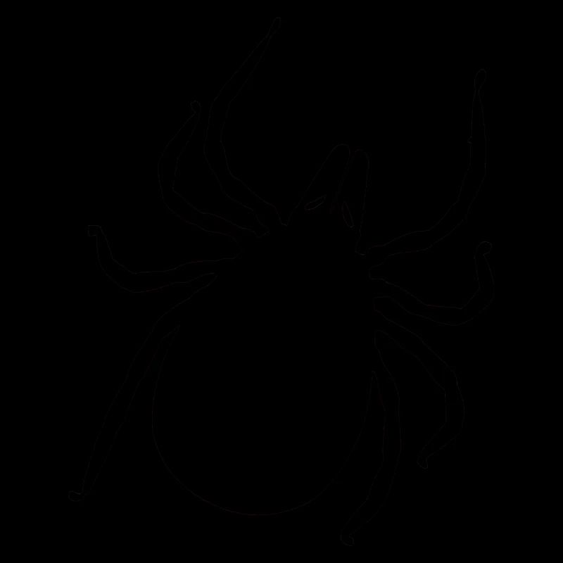 tick