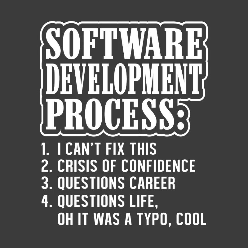 Programmierer und Informatiker