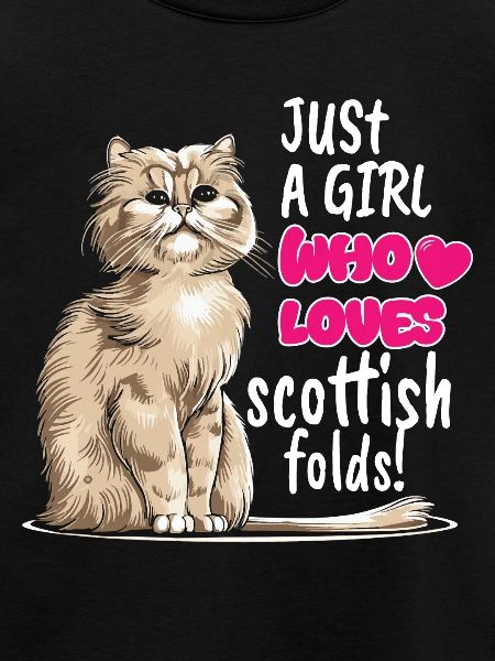 Scottish Fold Cat