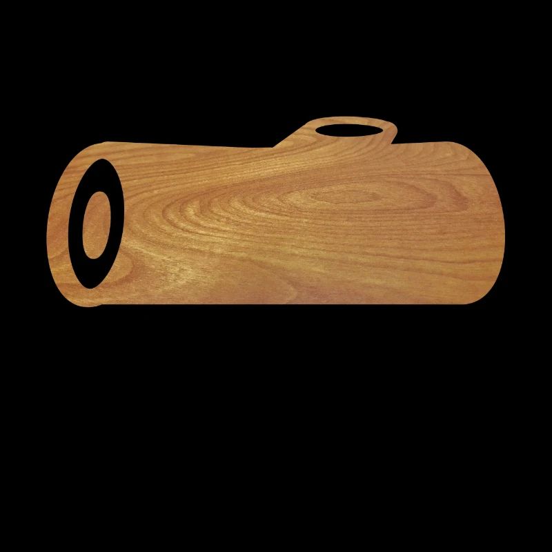 HOLZ
