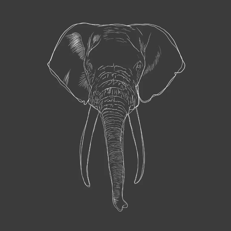 Elefant