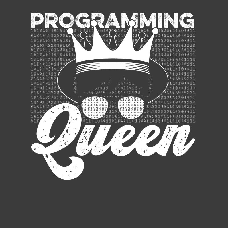 Programmierer Coder Software Entwickler