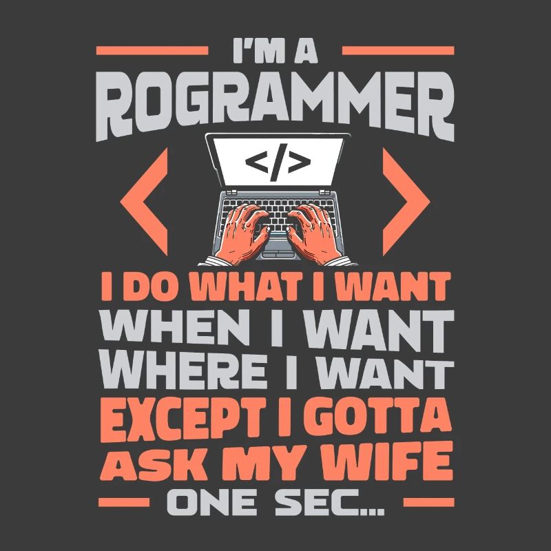 Développeur, Codeur, Programmeur