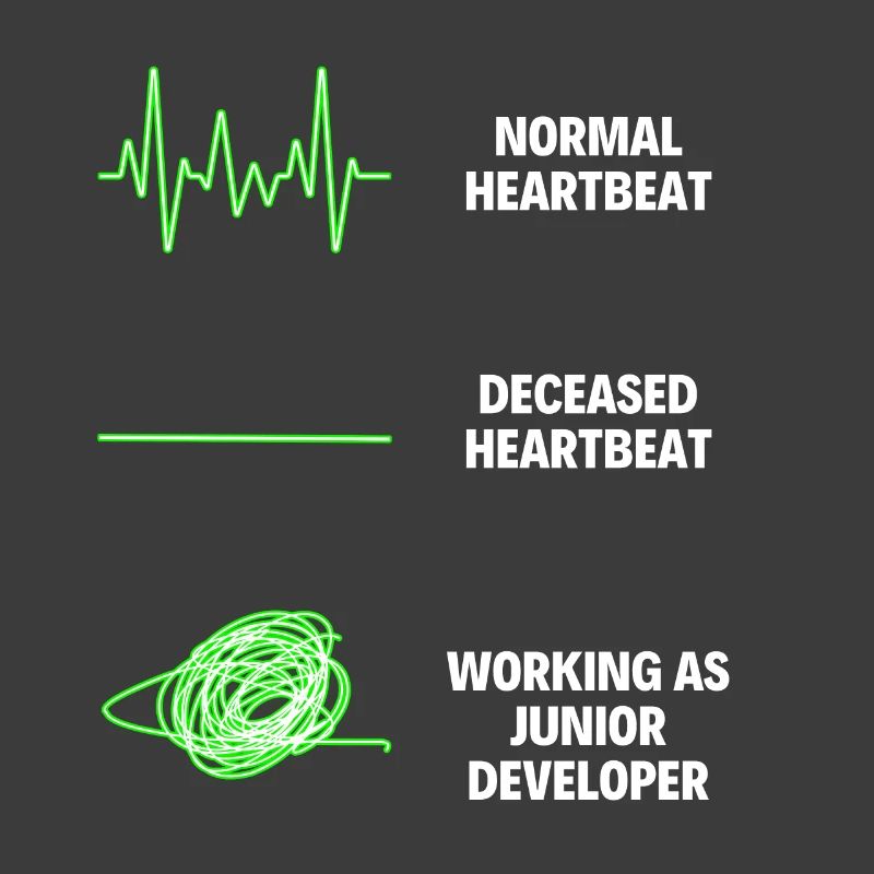 Junior Developer Professional Worker