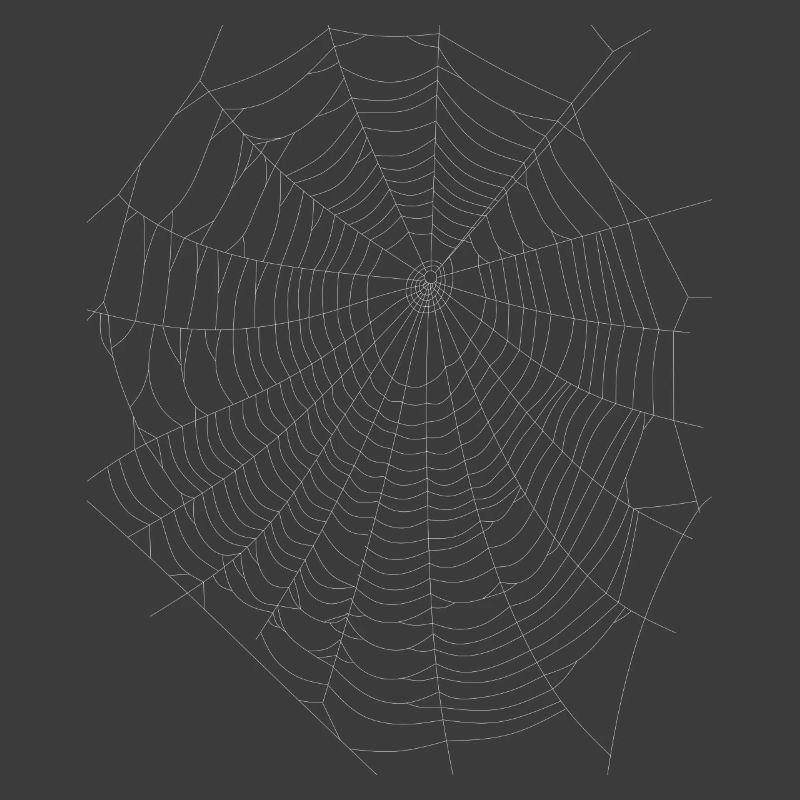 Spider Web Network Halloween Web