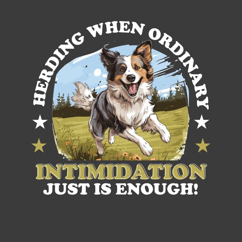 Border Collie Dog - Herding when ordinary