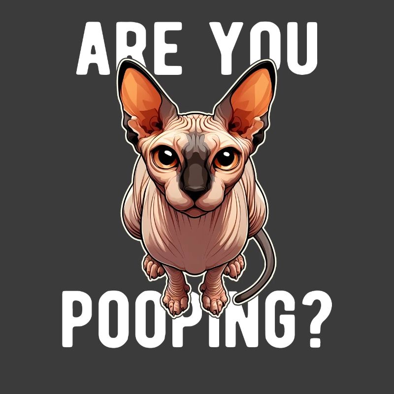 Est-ce que tu fais caca ? Drôle de chat Sphynx