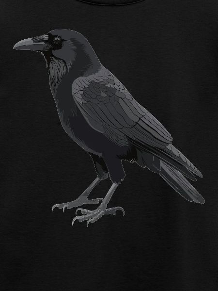 Krähen Krähe