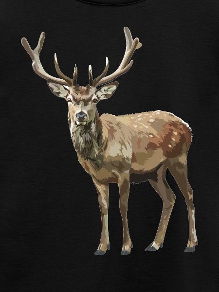 Hirsche Hirsch
