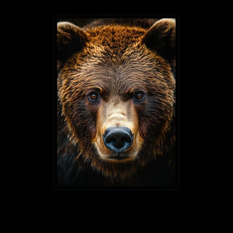 grizzly bears Grizzly bear
