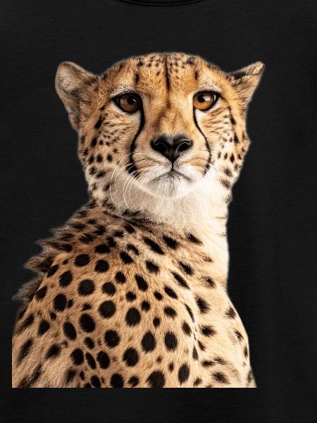 Gepard