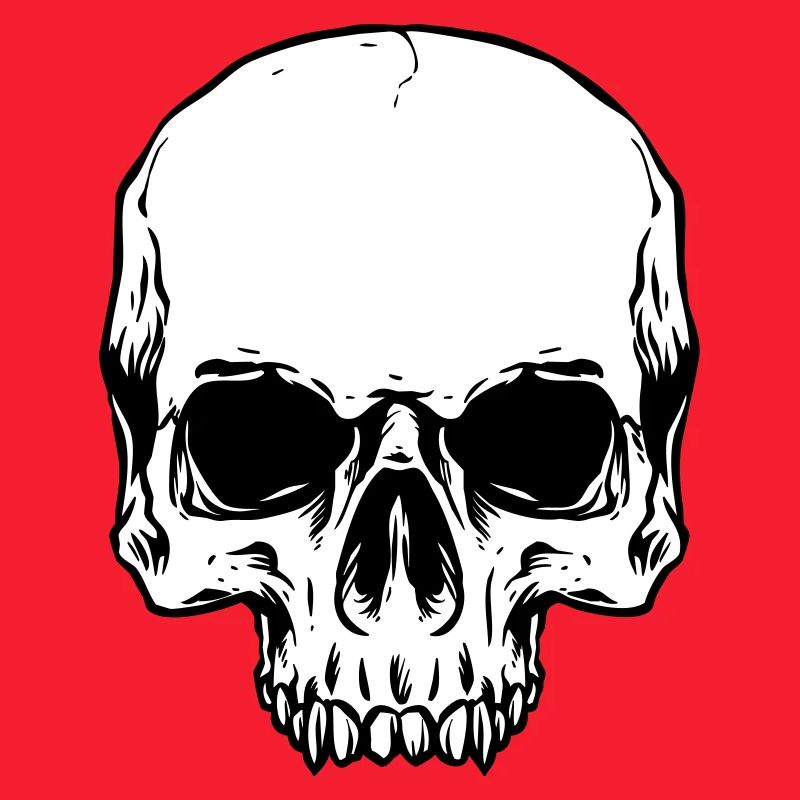 Half Skull Head