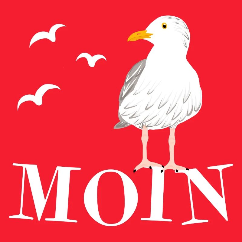 Moin Möwe