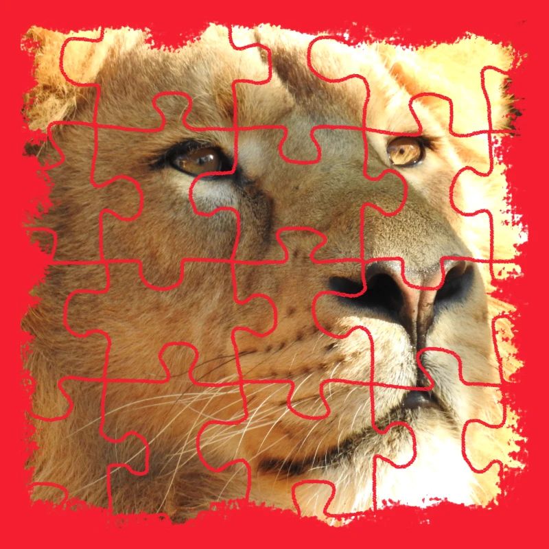 Lion puzzle, symbole de force et de force