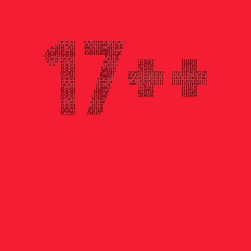 17++ Programmierer Developer Coder 18. Geburtstag