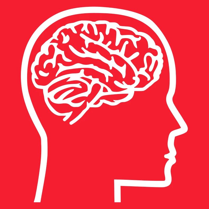 Brain
