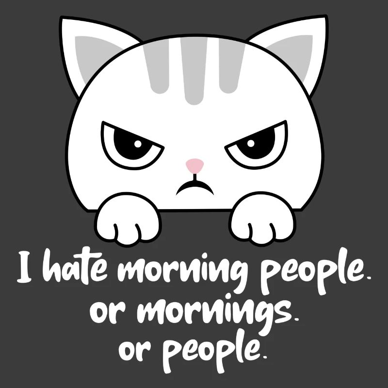 Ich hasse Morgenmenschen oder Morgen oder Menschen. Katze