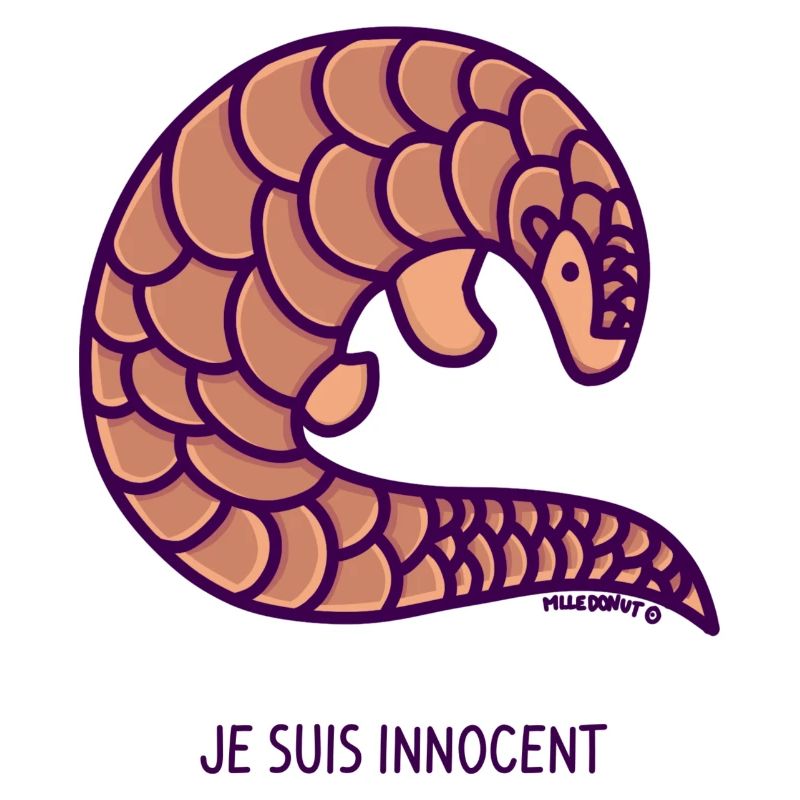 Pagolin - I'm Innocent