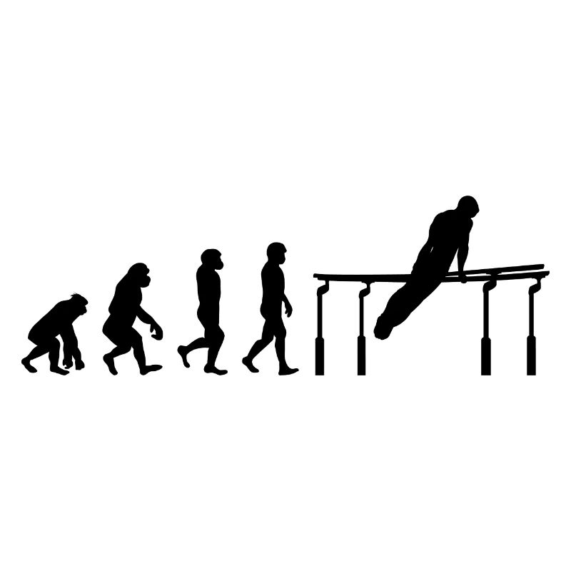 Artistic Gymnastic Parallel Bars Gymnast Evolution
