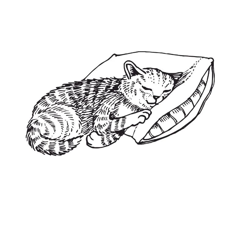 Cat sleeping pillow