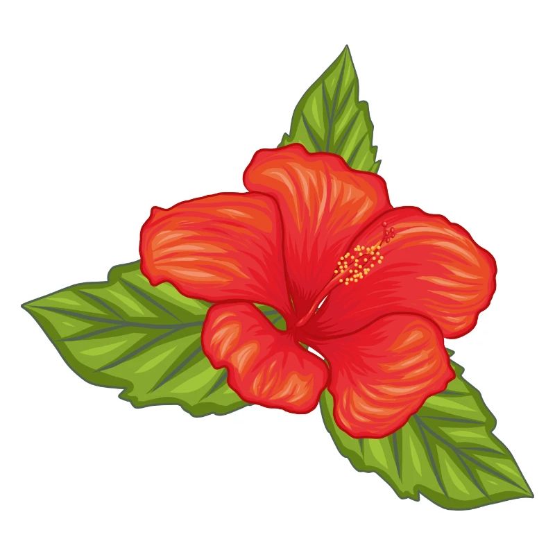 Hibiskusblüte